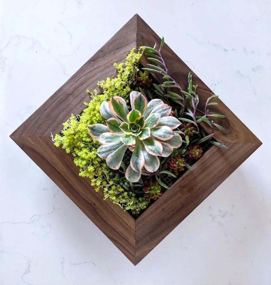 Trusted landscape design with custom design across Los Angeles, CA - Mantis Landscaping