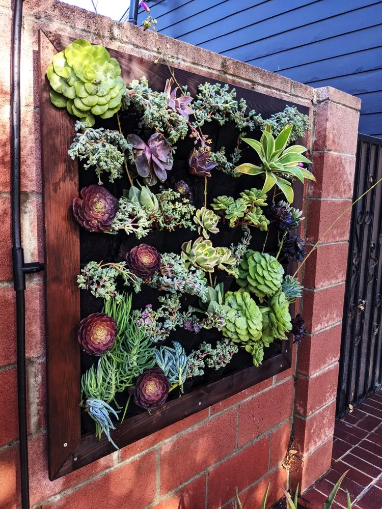 Top-rated garden landscaping near you in Los Angeles, CA by Mantis Landscaping