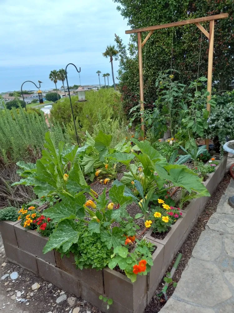 Reliable landscaping services for beautiful yards across Los Angeles, CA - Mantis Landscaping