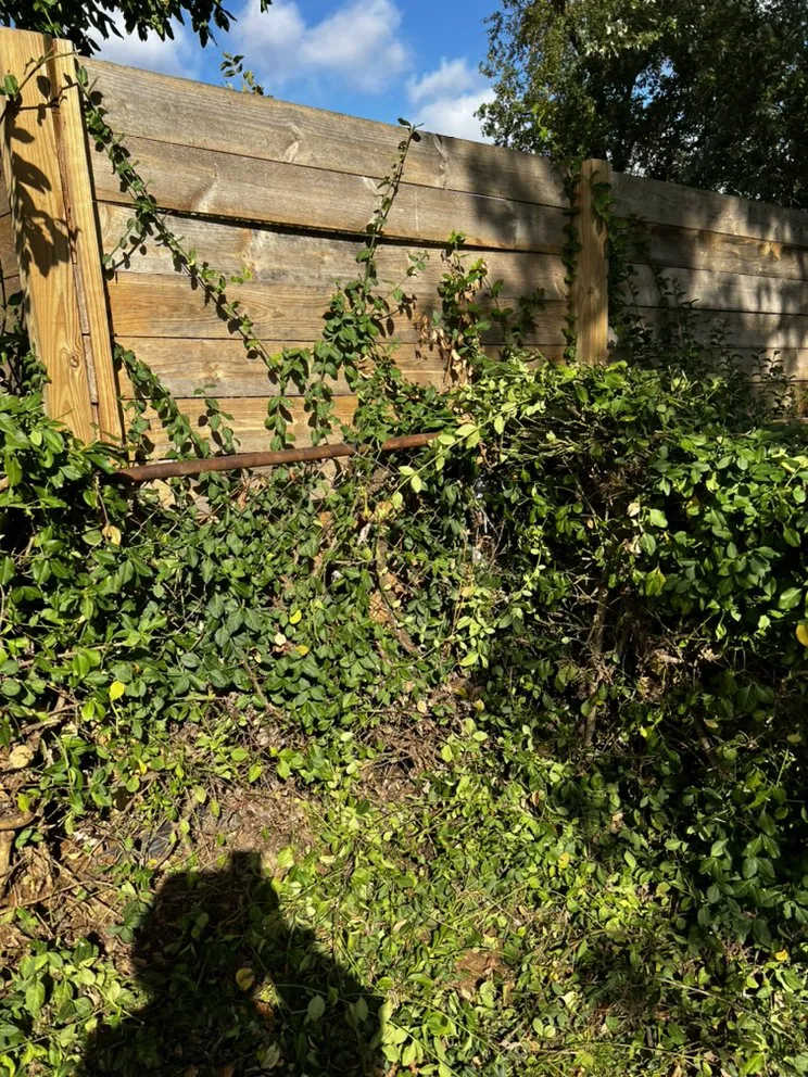 Professional residential landscaping in St. Louis, MO - Mantis Lawn Care & Landscaping