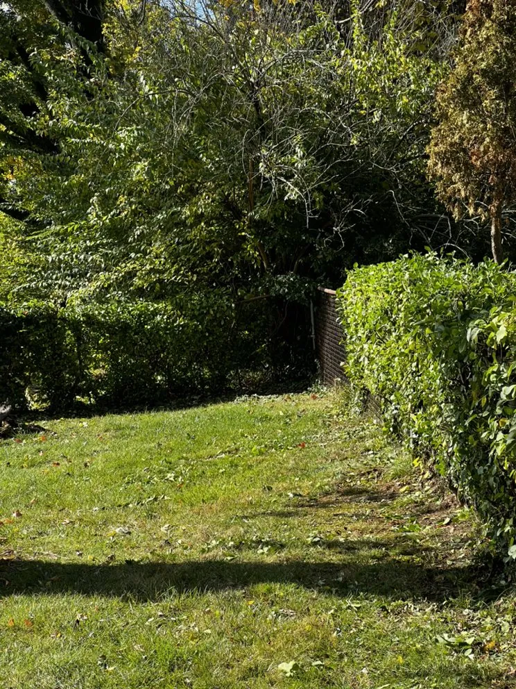 Reliable residential landscaping in St. Louis, MO - Mantis Lawn Care & Landscaping