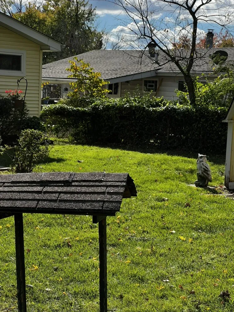 Reliable residential landscaping in St. Louis, MO - Mantis Lawn Care & Landscaping