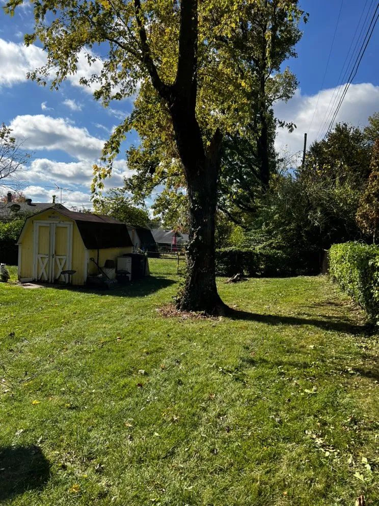 Custom yard maintenance in St. Louis, MO - Mantis Lawn Care & Landscaping