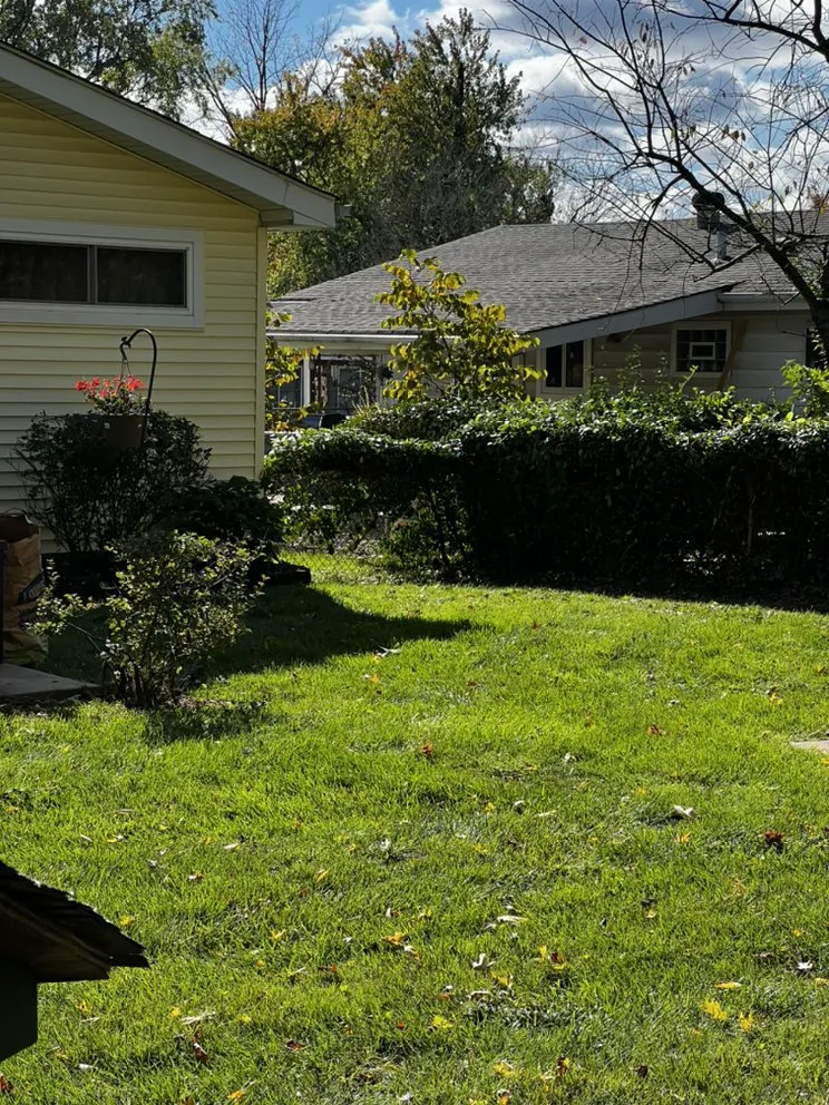 Custom yard maintenance for beautiful yards in St. Louis, MO by Mantis Lawn Care & Landscaping