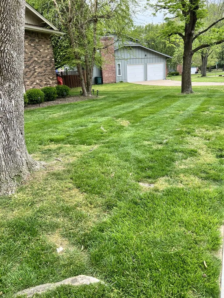Trusted garden landscaping in St. Louis, MO - Mantis Lawn Care & Landscaping