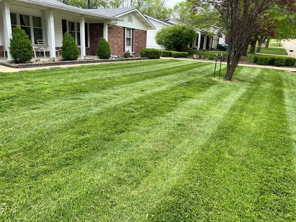 Trusted outdoor landscaping in St. Louis, MO by Mantis Lawn Care & Landscaping