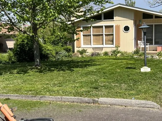 Mantis Lawn Care & Landscaping Logo