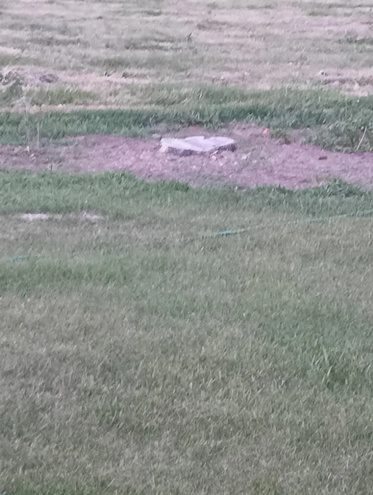 Expert landscape design for residential properties across Frederick, SD - Mantis Lawn Care