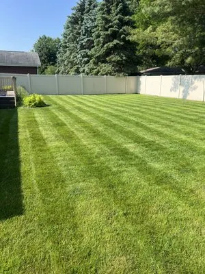 Mantis Lawn Care Logo