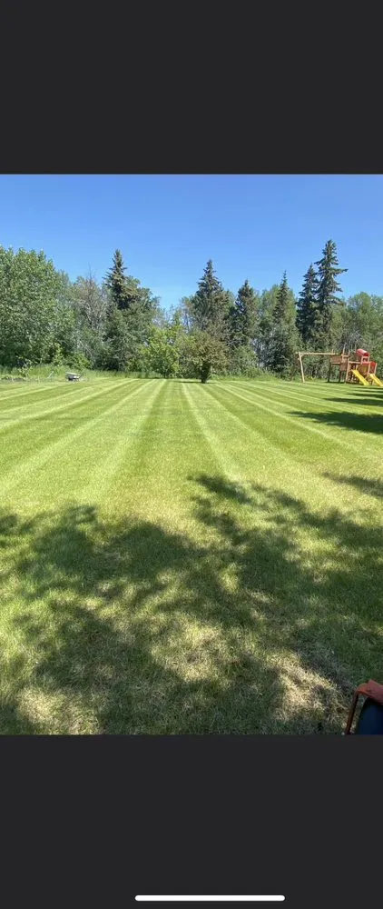 Professional lawn care service in Pineville, LA by Mantis Lawn Service