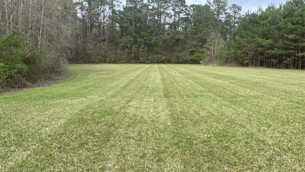 Trusted landscaping services in Pineville, LA - Mantis Lawn Service