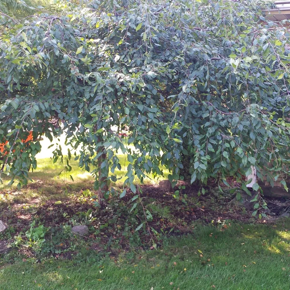 Affordable outdoor landscaping in Xenia, OH - Mantz's Lawn and Landscaping