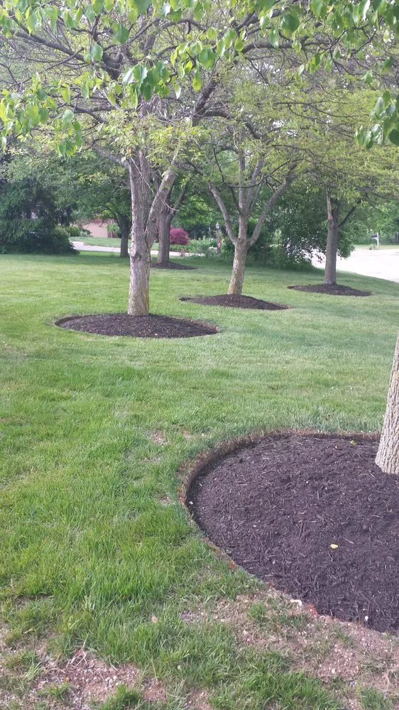 Affordable yard cleanup service in Xenia, OH by Mantz's Lawn and Landscaping