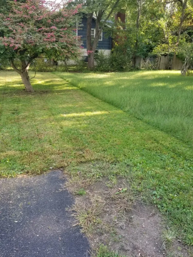 Trusted residential landscaping for residential properties in Paterson, NJ by Manuel & Family Landscaping