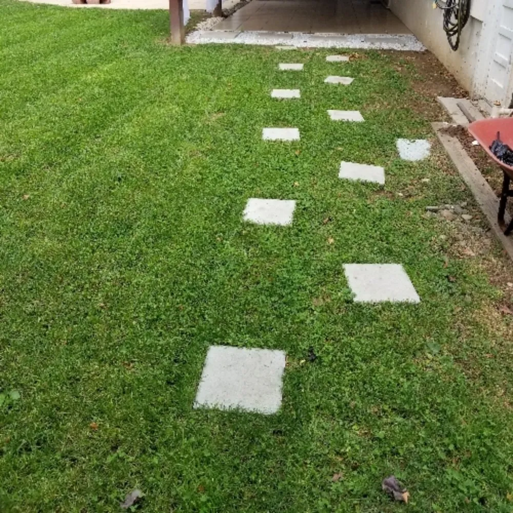 Expert lawn mowing service for residential properties in Paterson, NJ by Manuel & Family Landscaping