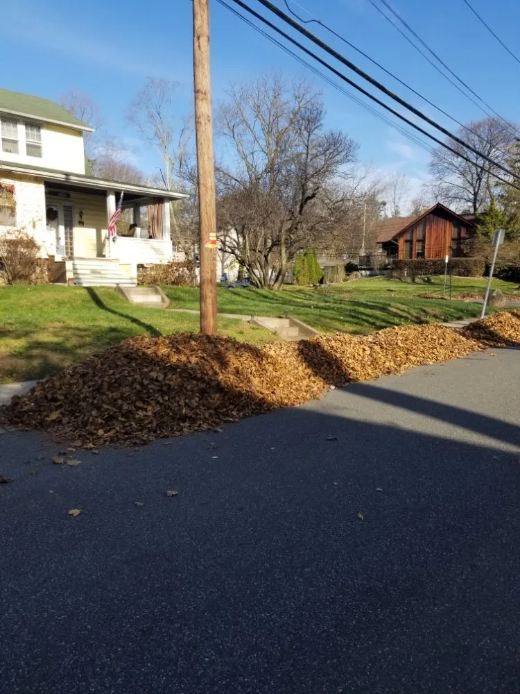 Expert landscape design in Paterson, NJ - Manuel & Family Landscaping