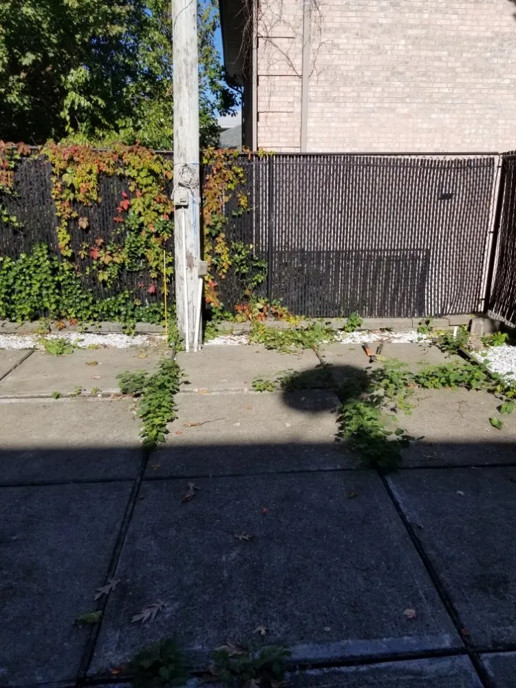 Trusted residential landscaping in Paterson, NJ by Manuel & Family Landscaping