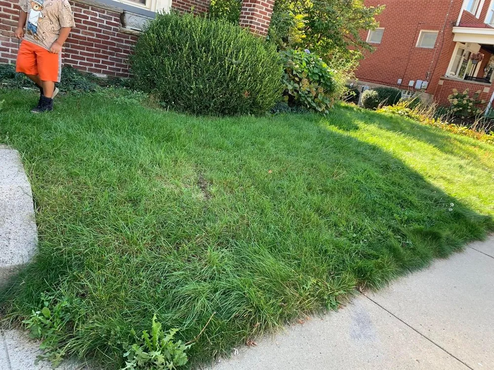 Custom landscaping services experts serving Clairton, PA - Manuel & merci Ancheta’s Lawn care