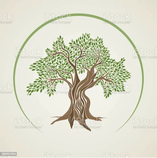 Affordable yard cleanup service for residential properties across Highwood, IL - Manuel & Son's Landscaping