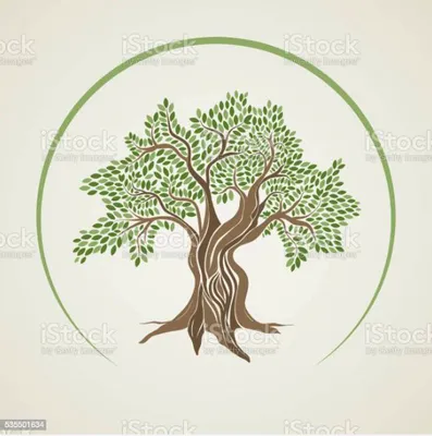 Manuel & Son's Landscaping