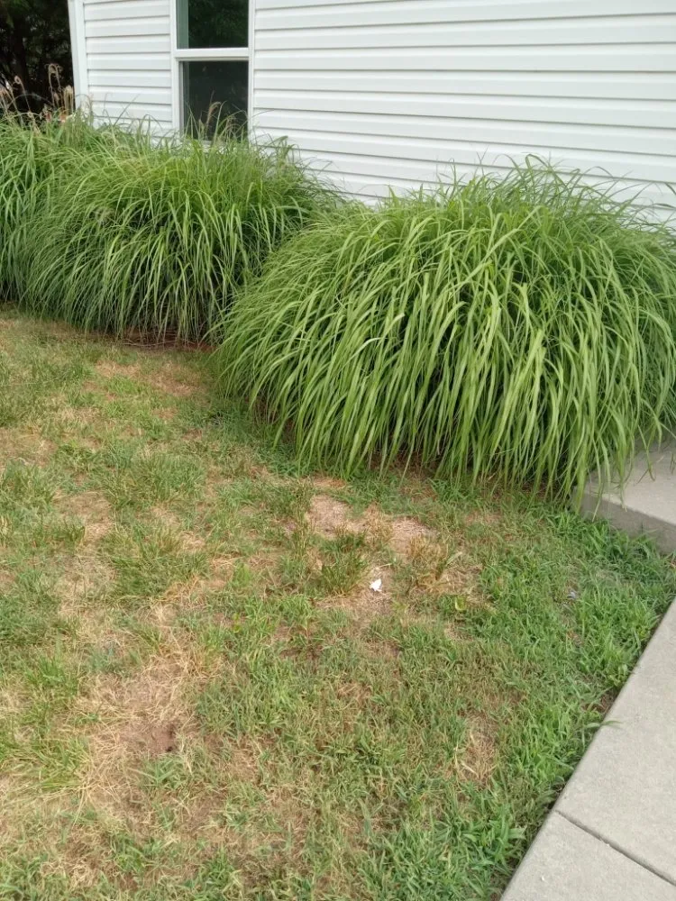 Trusted outdoor landscaping in Jefferson Manor, VA - Manuel Alvarez Landscaping