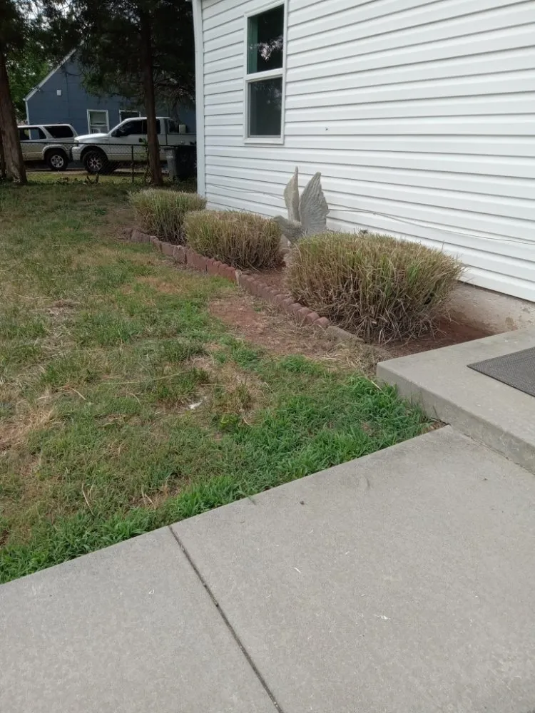 Professional outdoor landscaping in Jefferson Manor, VA - Manuel Alvarez Landscaping