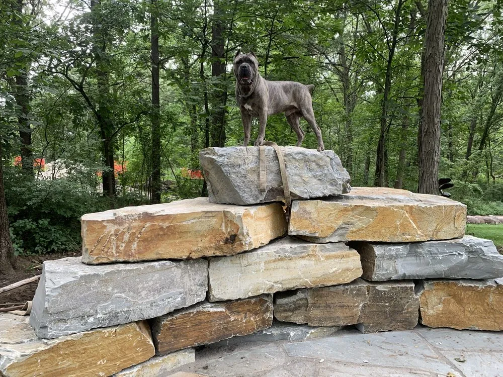 Custom lawn care service for outdoor upgrades across Waukegan, IL - Manuel Brick Paving & Landscaping