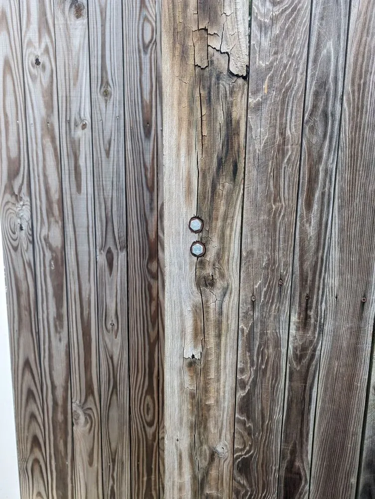 Top-rated landscaping services in Silver Spring, MD by Manuel Construction Services