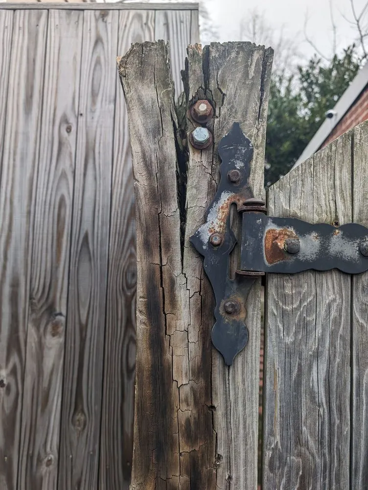 Custom lawn care service in Silver Spring, MD by Manuel Construction Services