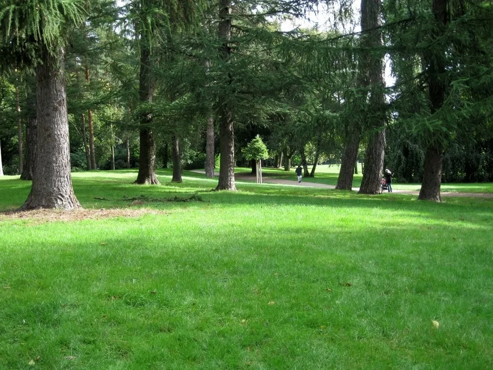 Affordable garden landscaping experts serving Silver Spring, MD - Manuel Construction Services