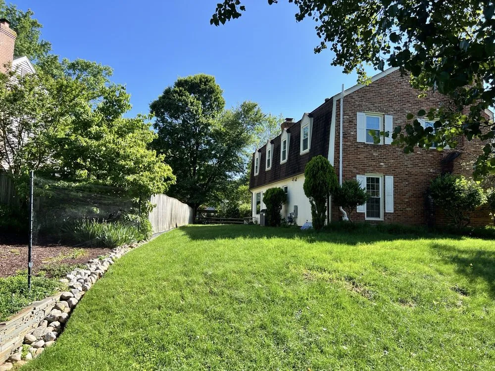 Expert yard cleanup service in Silver Spring, MD by Manuel Construction Services