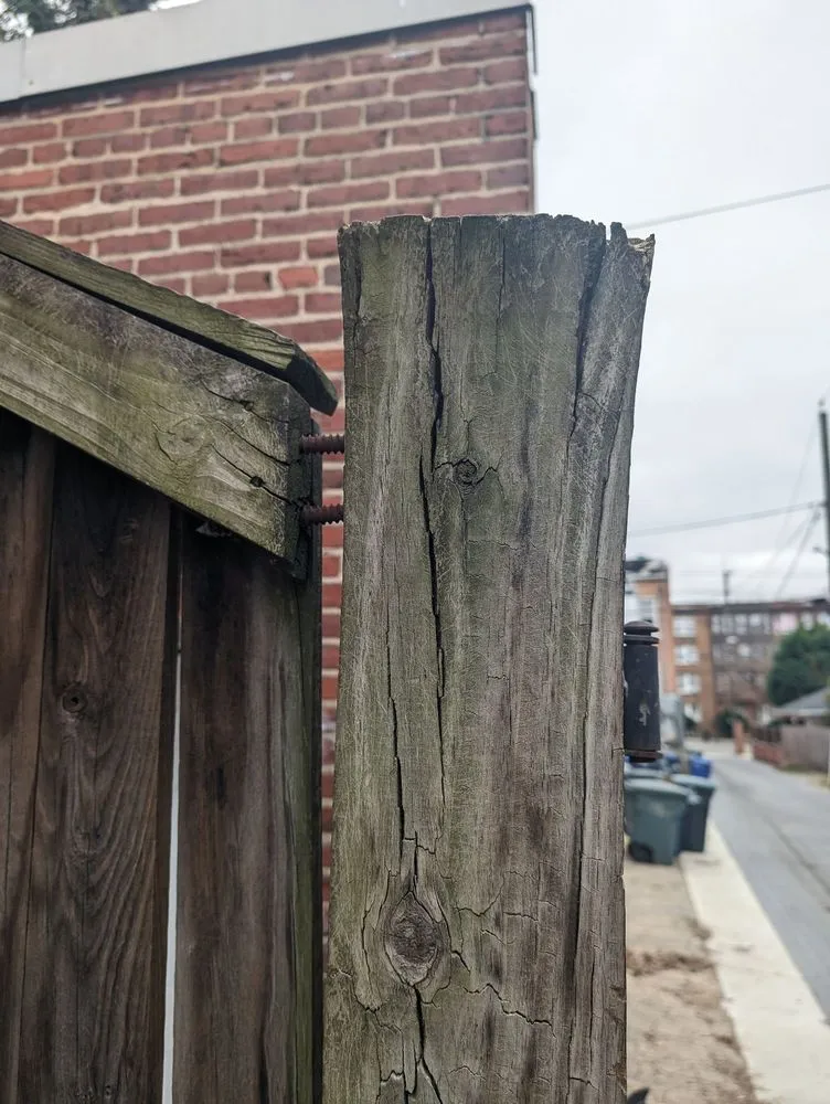 Local landscape design in Silver Spring, MD - Manuel Construction Services