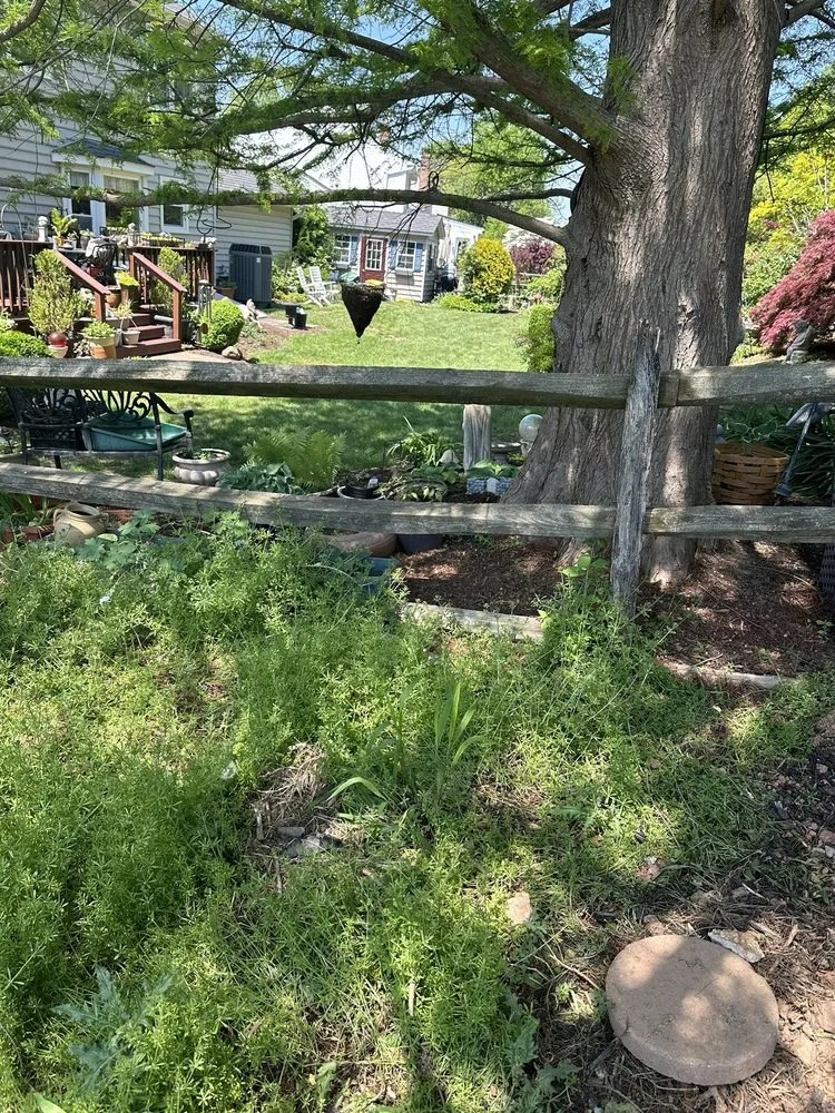 Expert landscape design with custom design across Silver Spring, MD - Manuel Construction Services