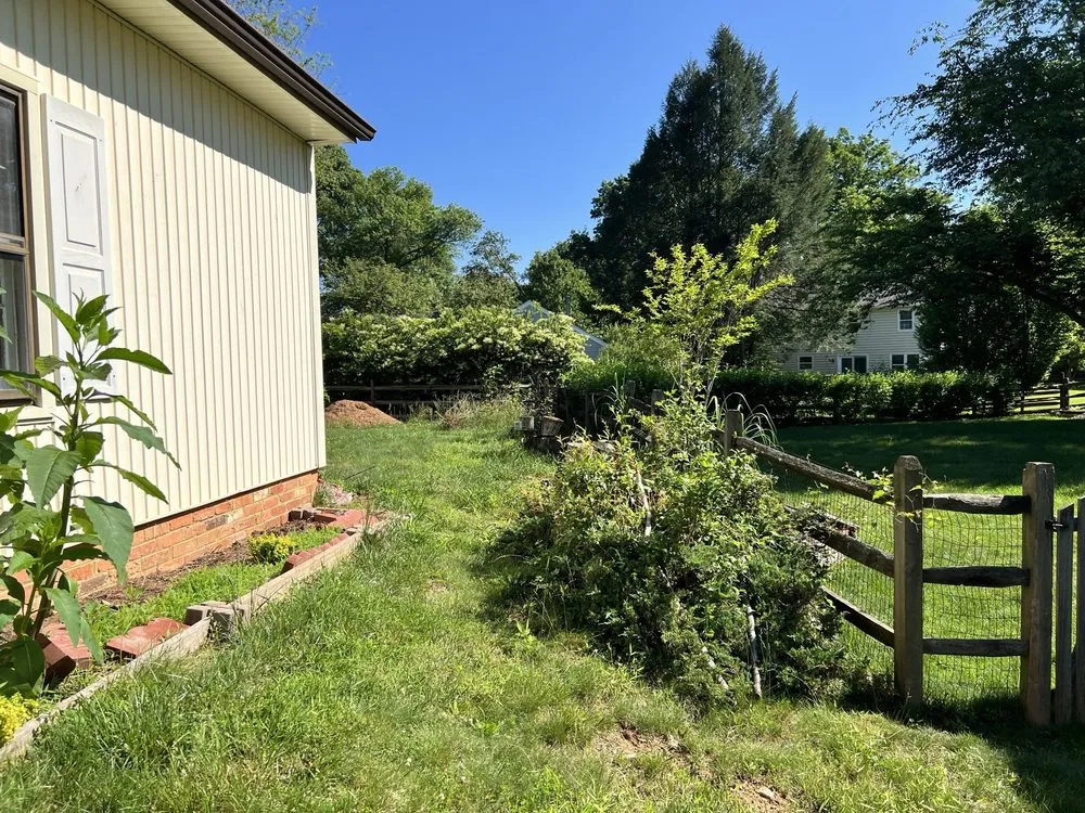 Local lawn care service in Silver Spring, MD by Manuel Construction Services