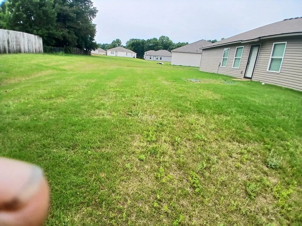 Local residential landscaping for outdoor upgrades across Tuscaloosa, AL - Manuel Cutting Grass Company