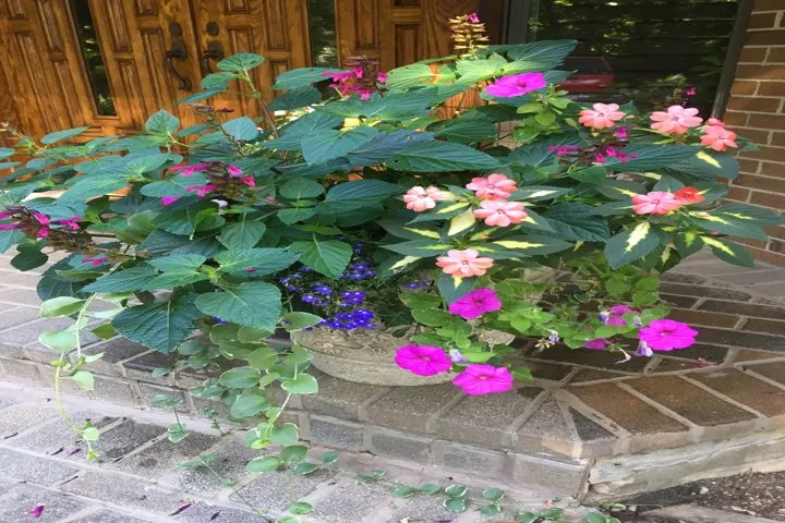 Top-rated residential landscaping for residential properties in Gurnee, IL by Manuel Guzman Landscaping