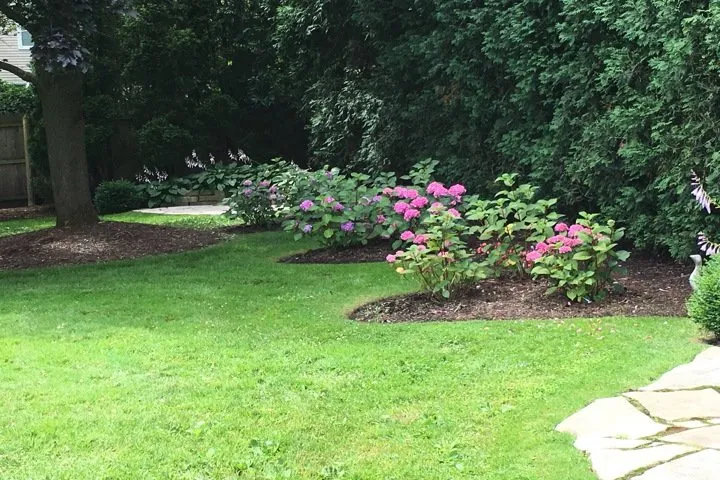 Custom lawn mowing service for year-round maintenance in Gurnee, IL by Manuel Guzman Landscaping