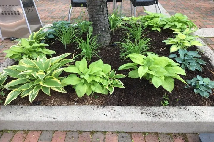 Affordable outdoor landscaping in Gurnee, IL - Manuel Guzman Landscaping