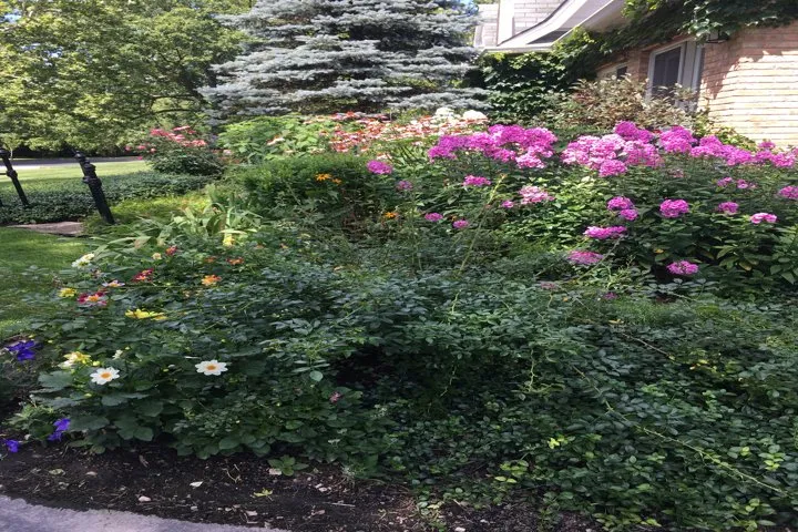 Professional landscape design in Gurnee, IL - Manuel Guzman Landscaping