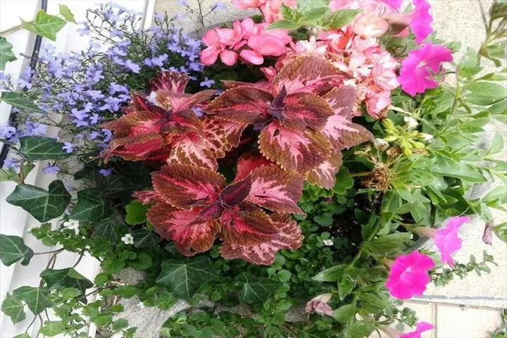 Top-rated garden landscaping in Gurnee, IL - Manuel Guzman Landscaping