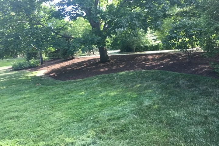 Expert yard maintenance experts serving Gurnee, IL - Manuel Guzman Landscaping