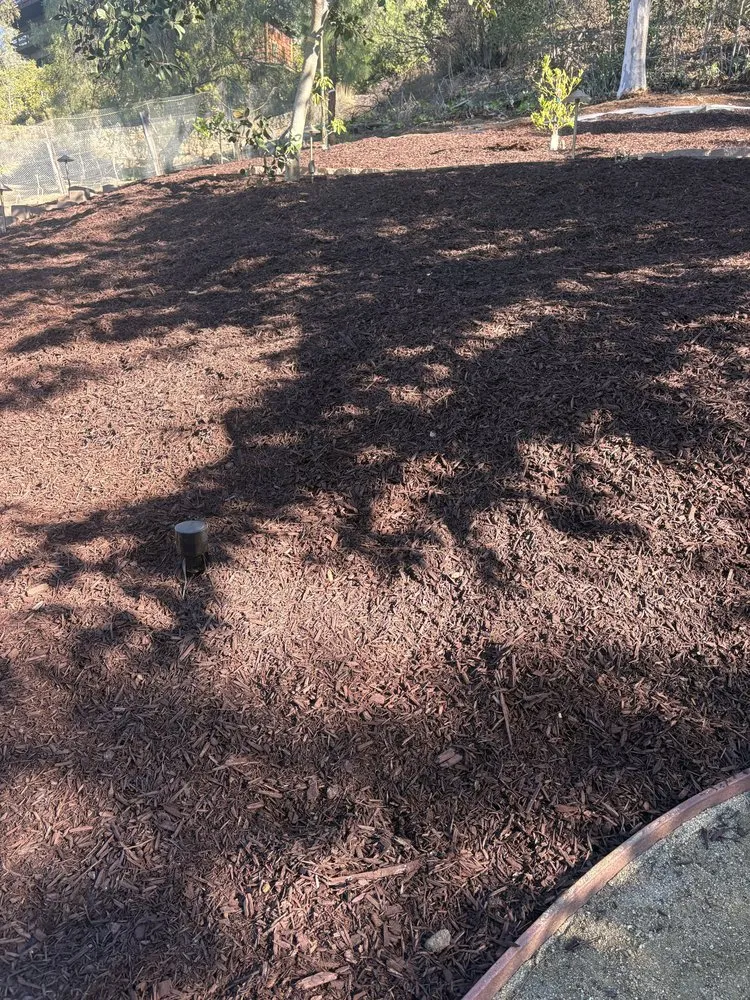 Top-rated garden landscaping in Poway, CA - Manuel Landscape