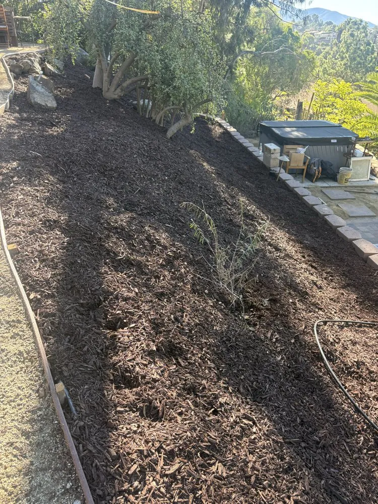 Reliable landscape installation with custom design across Poway, CA - Manuel Landscape
