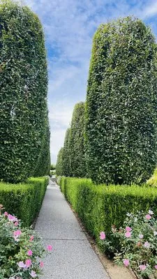 Manuel Landscaping Logo