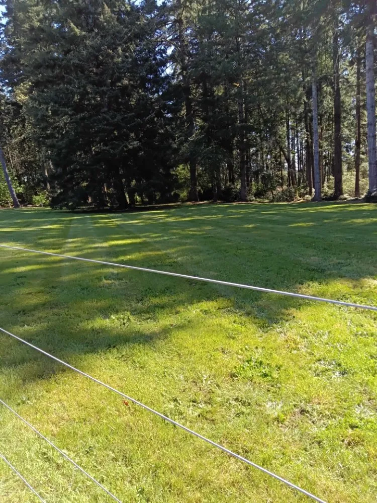 Affordable landscape installation experts serving Bremerton, WA - Manuel Landscaping