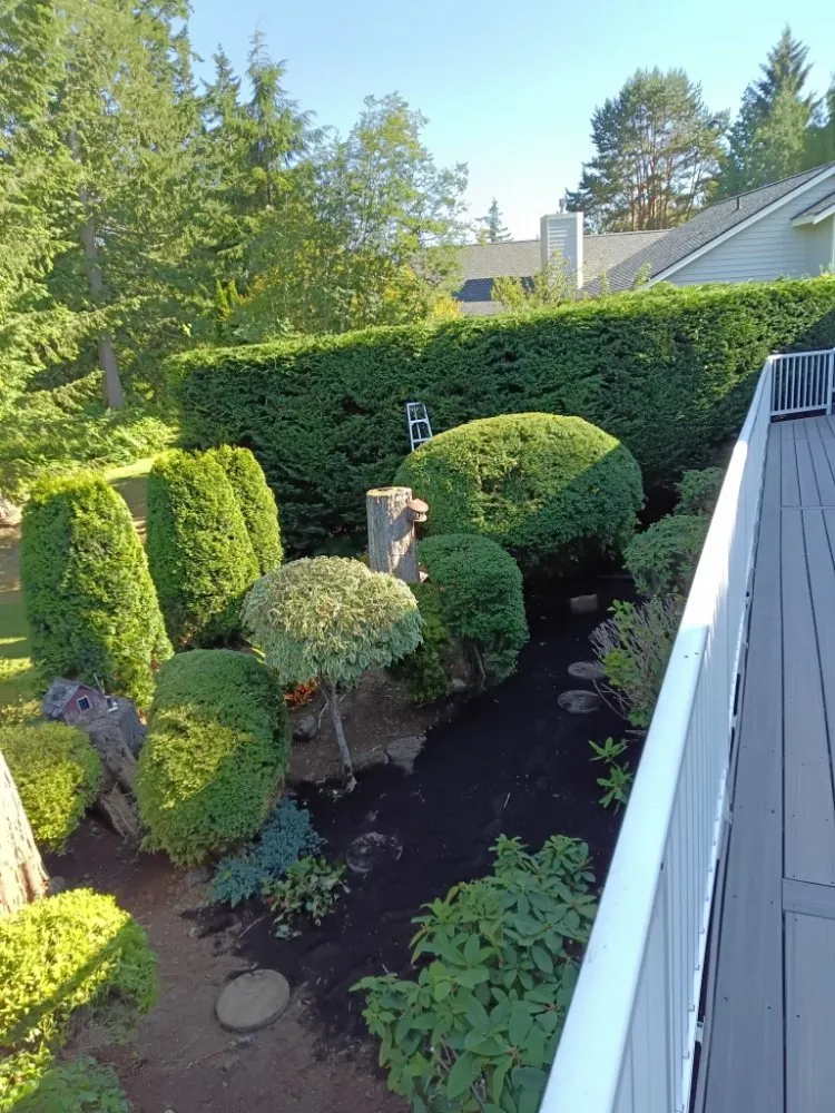 Professional outdoor landscaping in Bremerton, WA by Manuel Landscaping