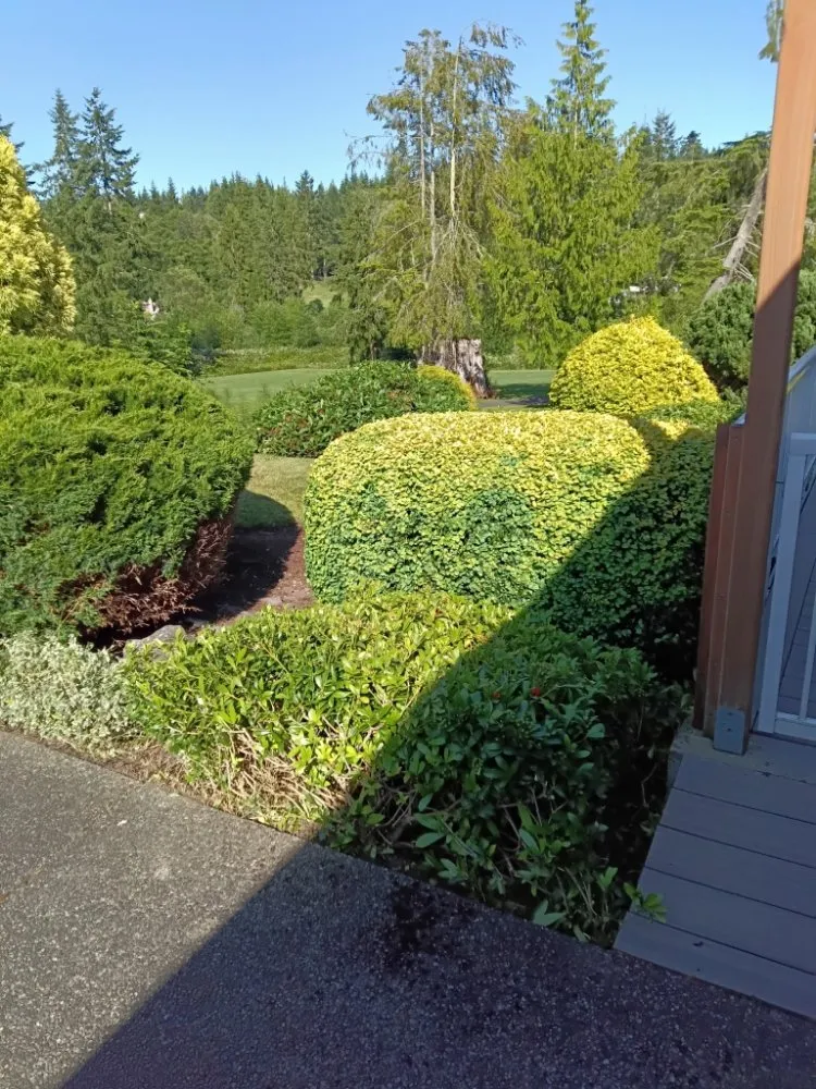 Reliable garden landscaping in Bremerton, WA by Manuel Landscaping
