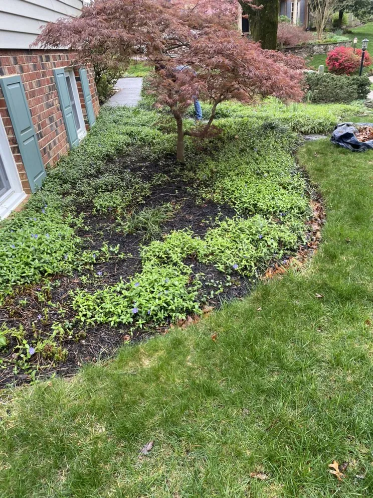 Affordable yard cleanup service experts serving Fall church, VA - Manuel Landscaping