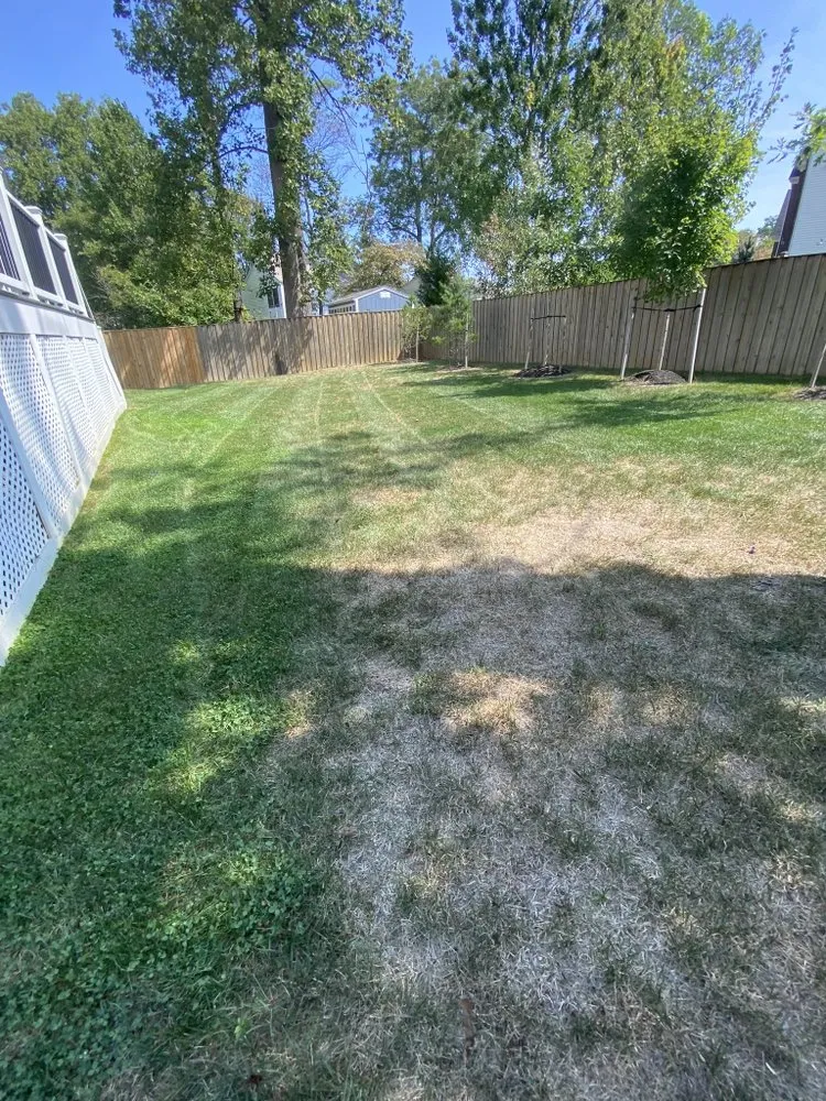 Trusted garden landscaping for homes in Fall church, VA by Manuel Landscaping
