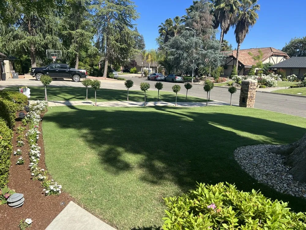 Trusted outdoor landscaping for homes across Fresno, CA - Manuel Landscaping